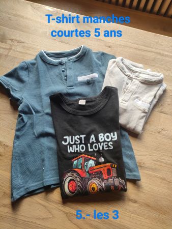 Lot de 3 T-shirts manches courtes garçon, taille 5 ans