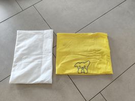 Rinfresca collo cane