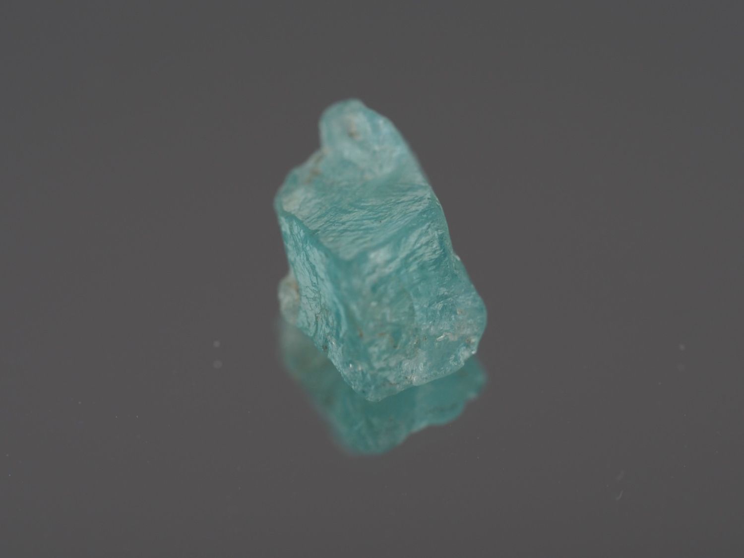 Pietre preziose: Ab 1CHF - Apatite (1 Rohstein) 2.73ct – Nuovo e nell'imballaggio originale da Buchs SG venduto da OTNaturalGems 1