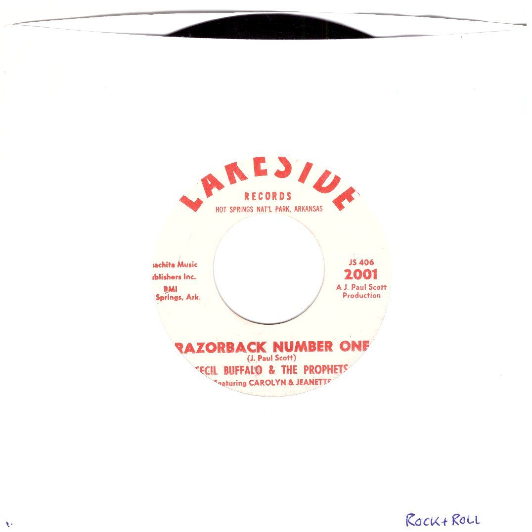 Dischi in vinile: CECIL BUFFALO & THE PROPHETS – Usato da Bassersdorf venduto da house-of-vinyl