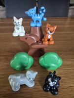 Duplo Set Katzen (Y293)