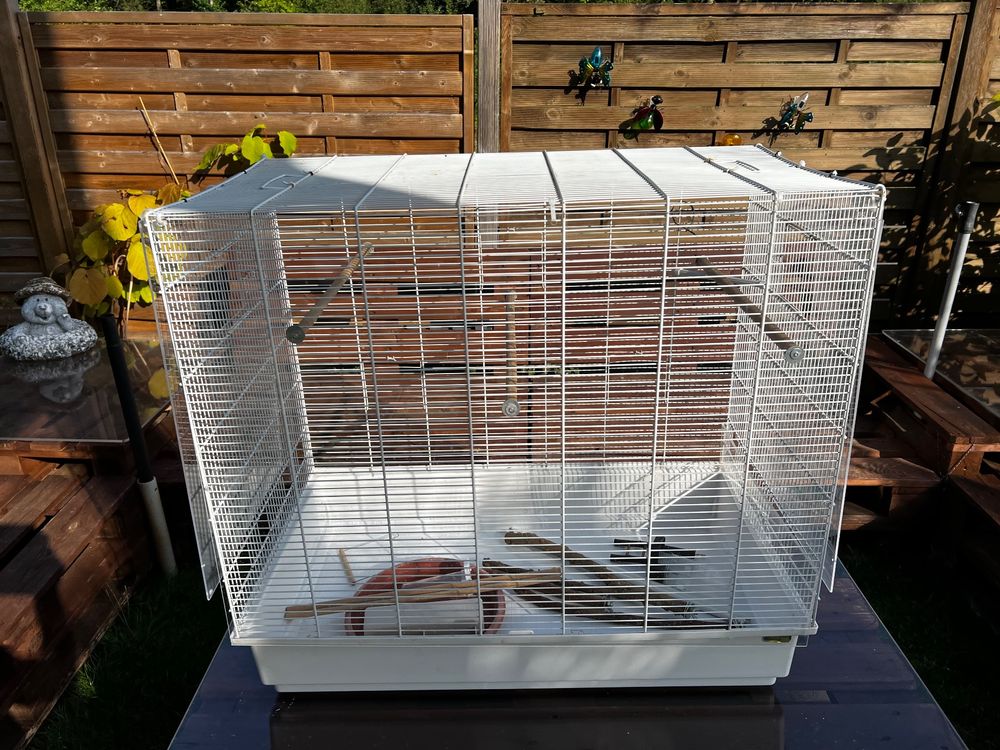 Vermessingte Raffeltrommel Mit Holzdrehgriff, Lotterie, Spinning, Zeichentrickets, Trommel