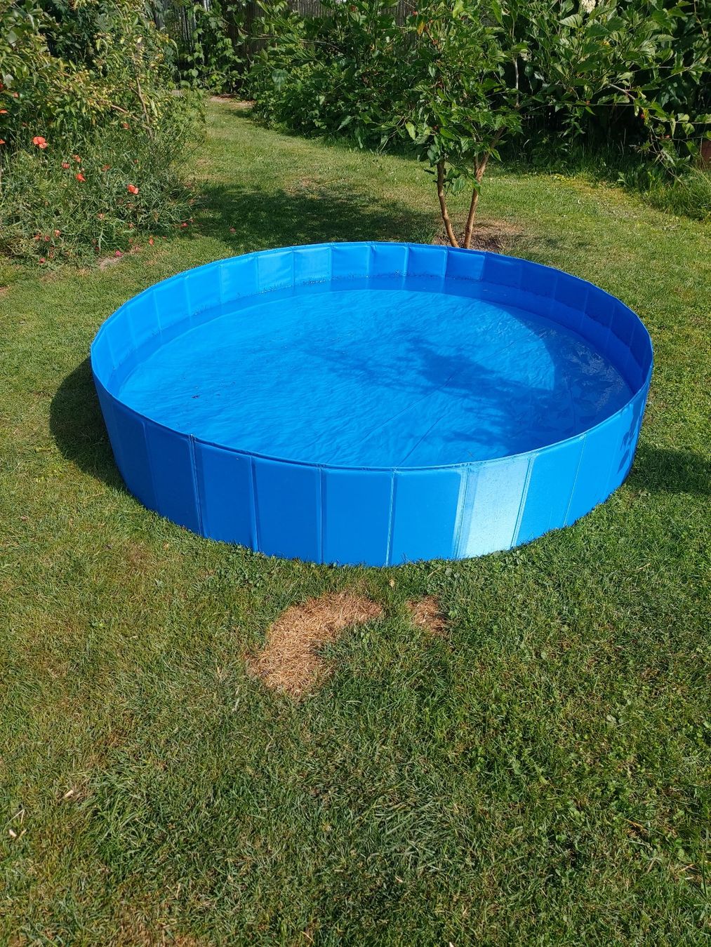 Piscine: Hundepool faltbar ca 150 cm Durchmesser – Usato da Niederscherli venduto da Cram3