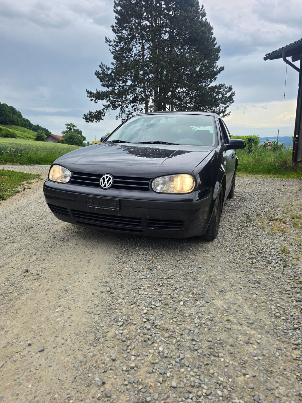 VW Autos: VW Golf 4 1.4l 16V – Gebraucht aus Winterthur von jschmid2003