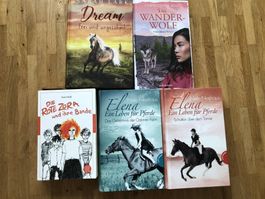 5 tolle Mädchenbücher