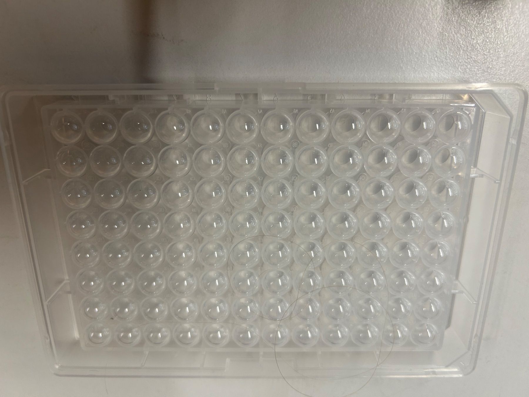 Wände & Decken: 89 stk GBO Microplates - 96-Well – Neu (gemäss Beschreibung) aus Schupfart von philippb06 2