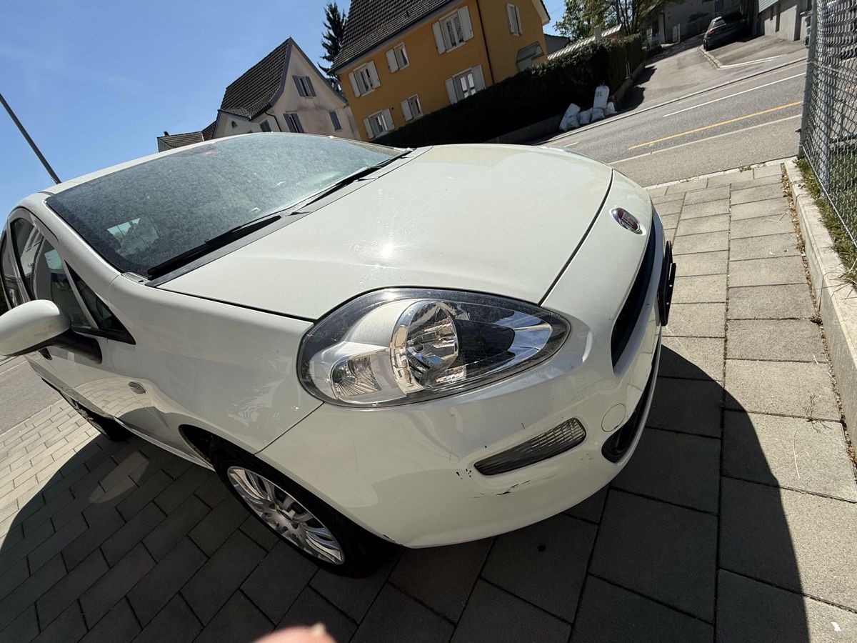 Automobili: Fiat Punto, 1.2 8V- ab Platz – Usato da Amriswil venduto da used2use 3