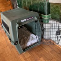 Hundebox