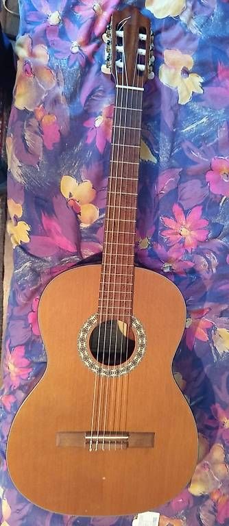 Strumenti musicali: Pro Arte GC-220 M Gitarre -... – Usato da Basel venduto da Petergunn