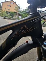 Scott Genius 900 Premium frame Nino Schurter