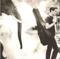 Bryan Adams CD On A Day Like Today