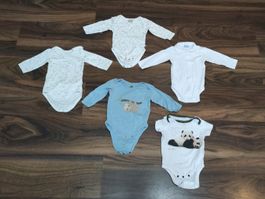 5 Bodys langarm/kurzarm Grösse 62