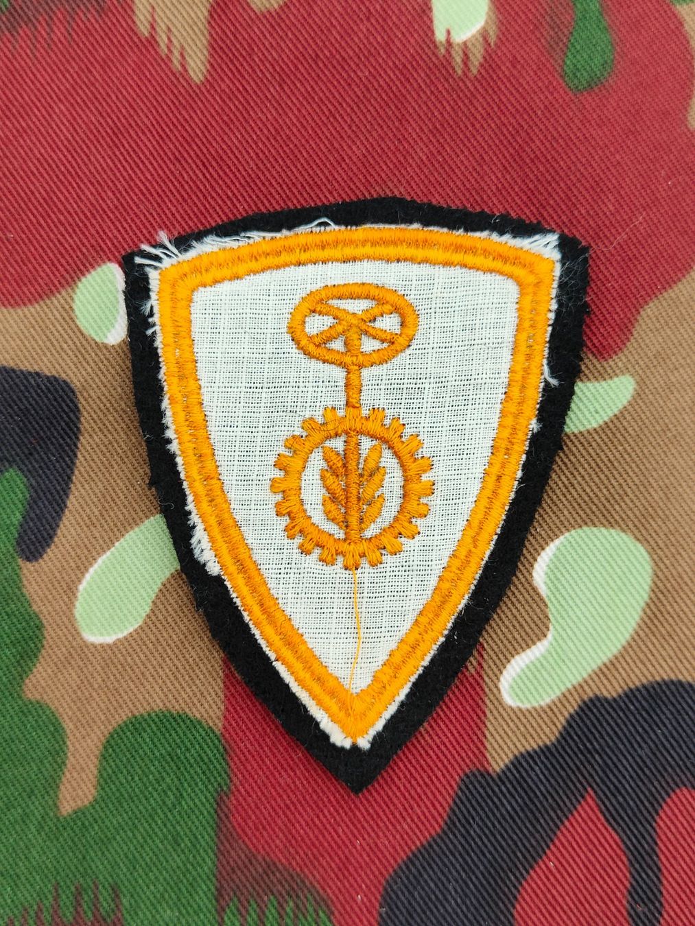 Schweizer Armee Placchette & Badge: Funktionsabzeichen Motormechaniker / Panzermechaniker V2 – Usato da Bauma venduto da SwissMilitaria 1