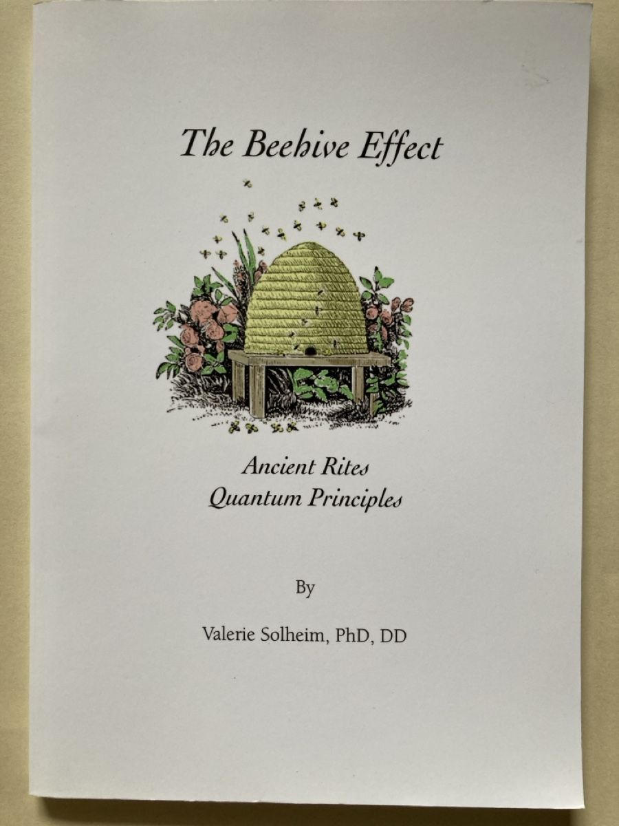 Libri: The Beehive Effect – Usato da Zürich venduto da 000rk