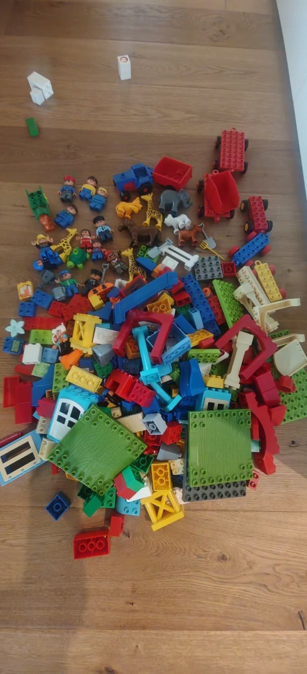 Lego Giocattoli: Lego Duplo Klötze gemischt inkl. Box – Usato da Engelburg venduto da benilo 2
