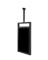 CEILINGMOUNT OM55N-D . NMS NS ACCS
