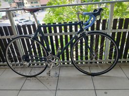 Masi Stahl Rennrad 56