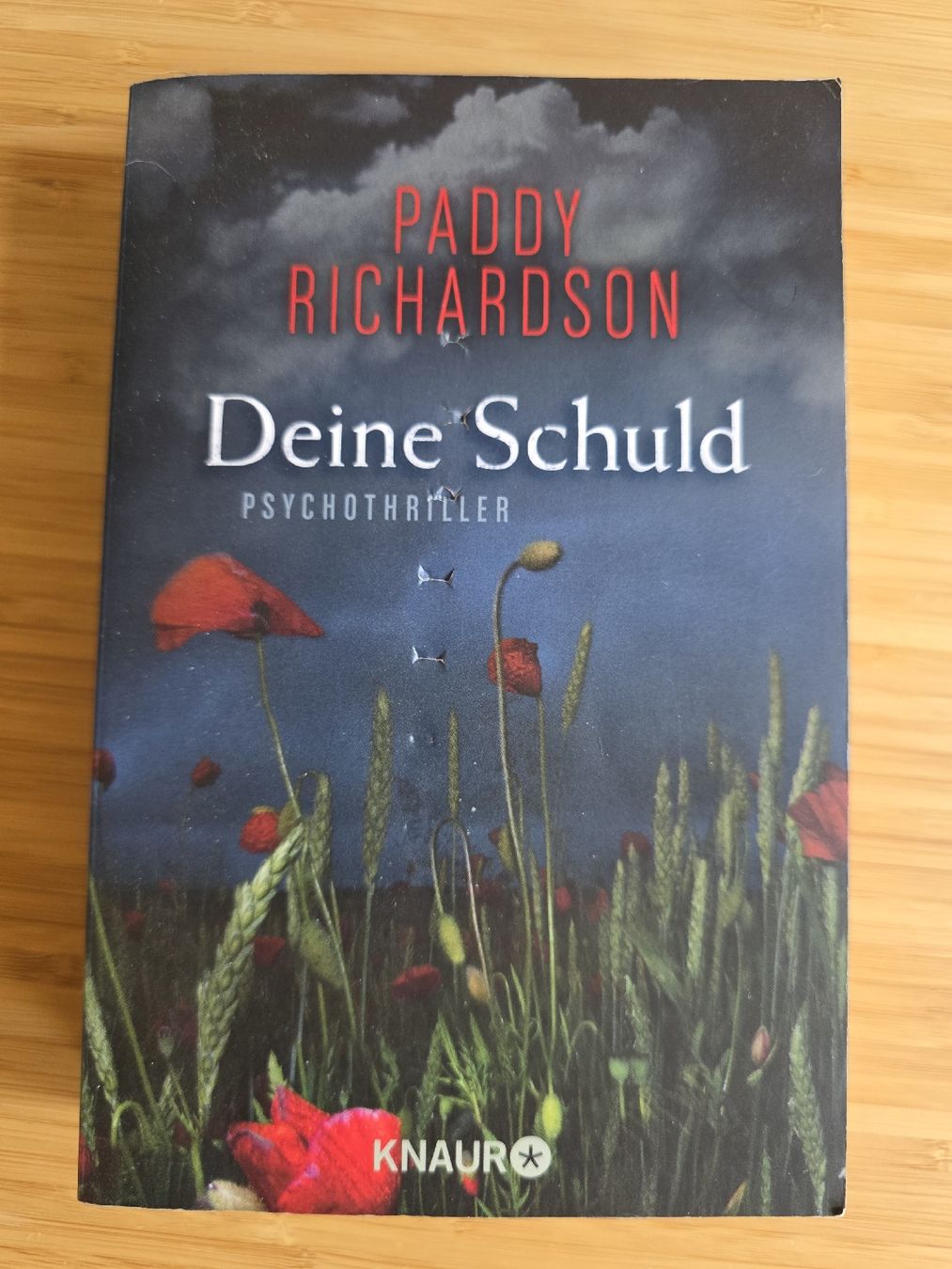 Libri: Paddy Richardson - Deine Schuld – Usato da Adlikon venduto da Clara28