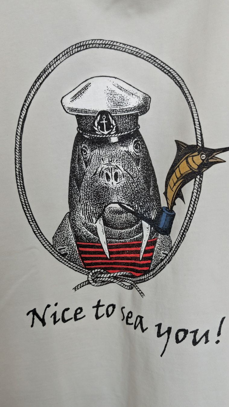 T-shirt: BLEND T-Shirt "Walrus Captain" | Grösse M | weiss – Usato da Wädenswil venduto da coconut1289 1