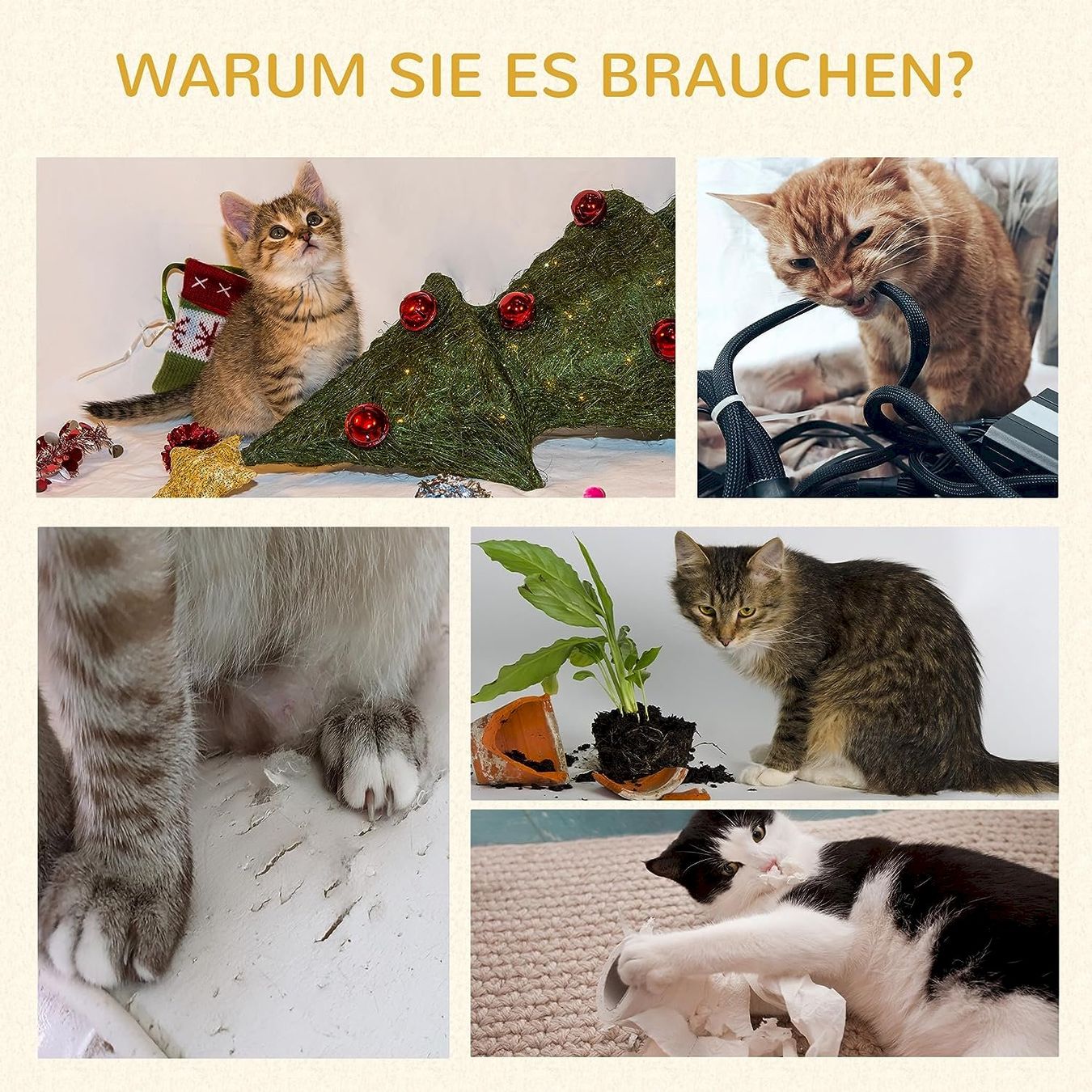 Katzenbaum - Kratzbaum: PawHut Kratzbaum Weiß+Holz – Neu und originalverpackt aus Bottighofen von zaap 5