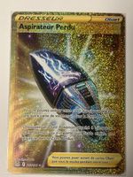 Lot 2 cartes Pokémon Gold Sonderbonbon Aspirateur Perdu