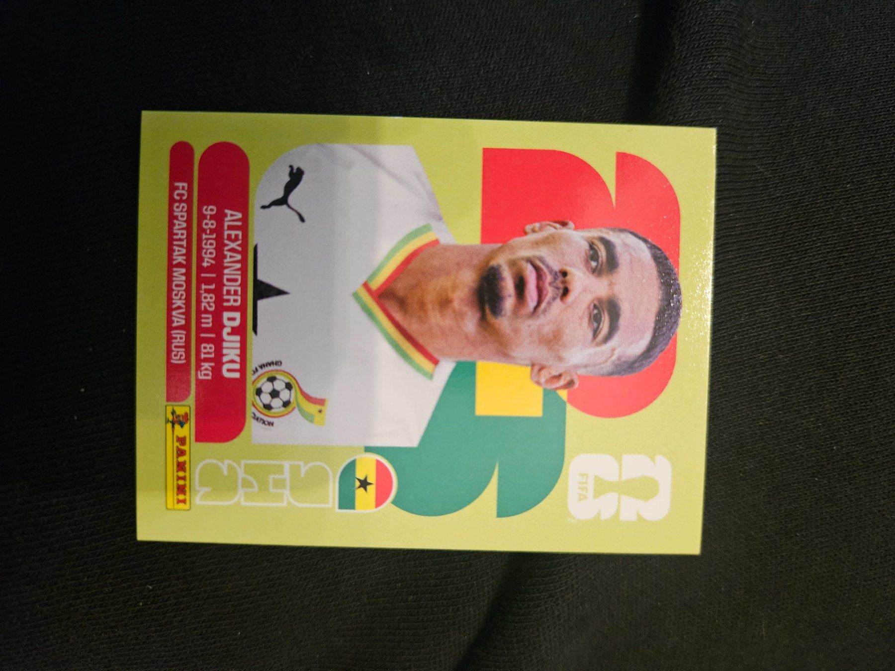 Panini Cartes à collectionner: GHA6 – D'occasion à Würenlingen par Dinli