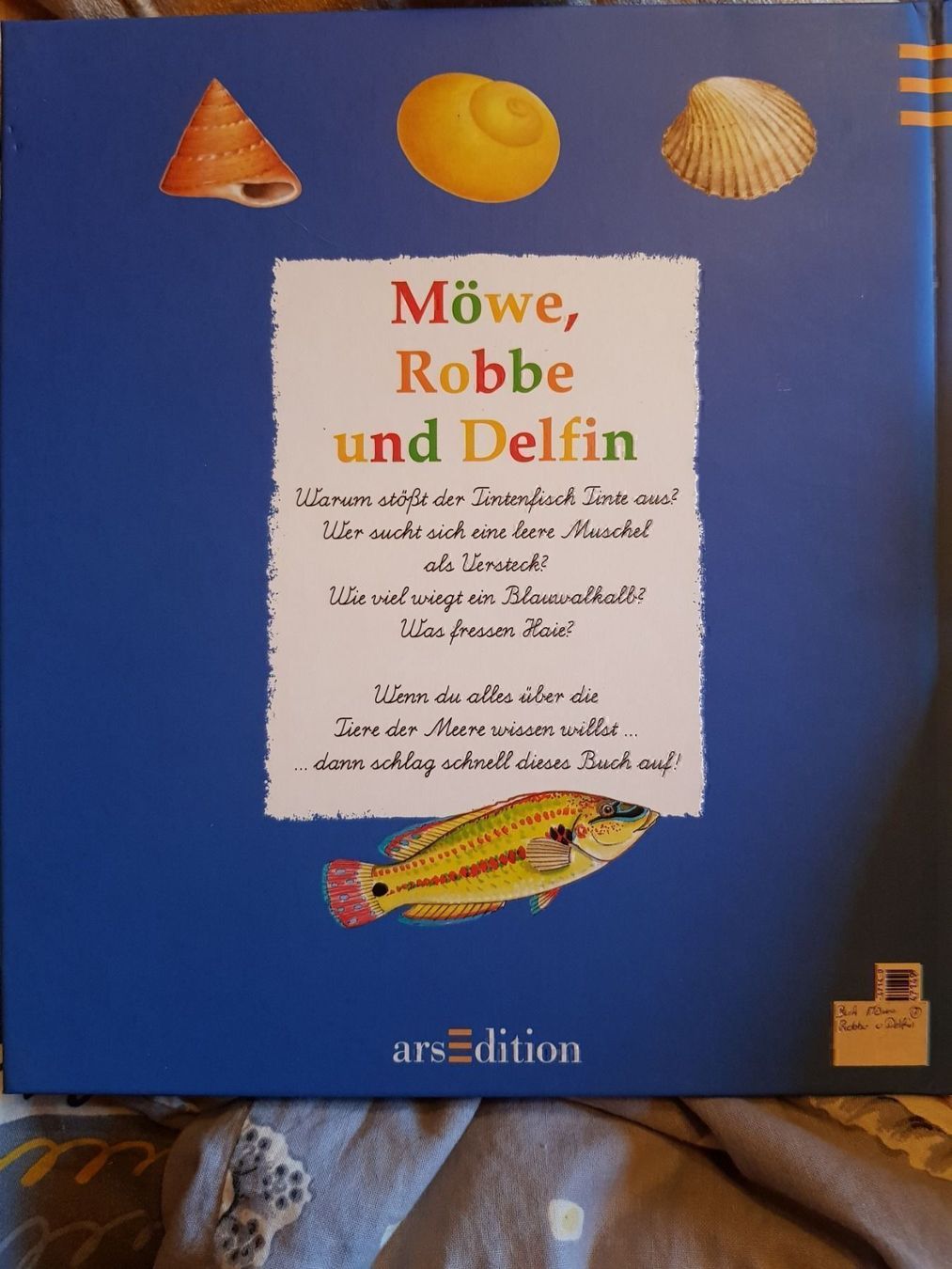 Libri: Buch Möwe, Robbe und Delfin – Nuovo e nell'imballaggio originale da Schwarzenburg venduto da Flamingo07 1