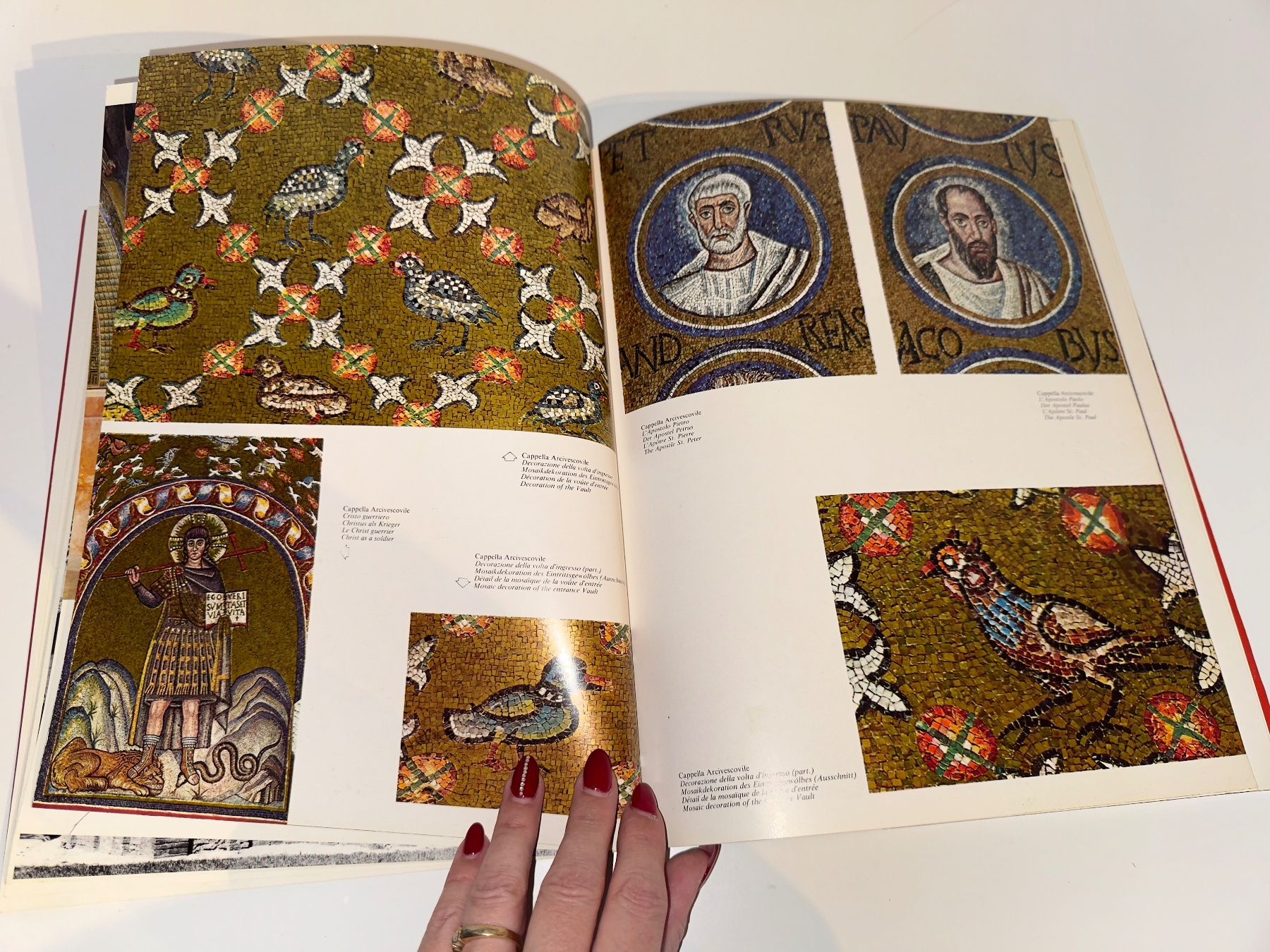 Libri: BUCH: Ravenna Felix – Usato da Grosswangen venduto da Second_hand_paradise 5