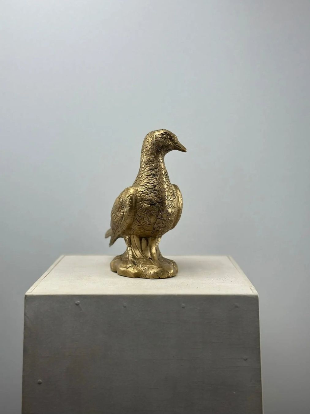 Sculture & Statue: Le pigeon en bronze – Nuovo (secondo la descrizione) da Lausanne venduto da Toko_Lausanne 2