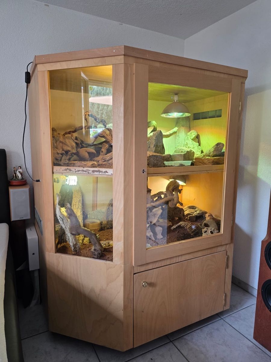 Terrariums: Terrarium – D'occasion à Seewen SO par lor_mm8w 1
