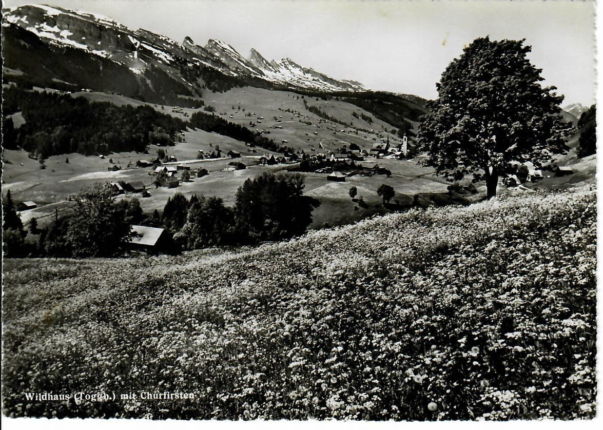 Cartes postales: Wildhaus – D'occasion à Hochdorf par Ziegel-16