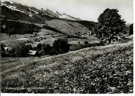 Wildhaus
