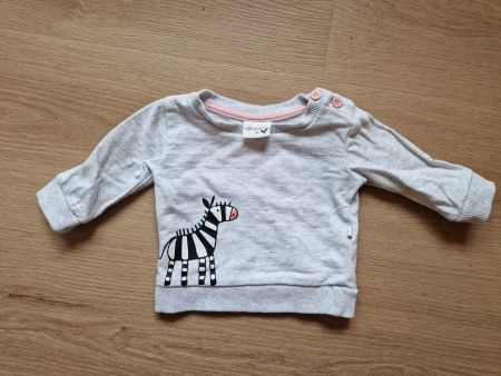 Pullover Grösse 56