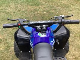 Kinder Quad 1000 W Elektro