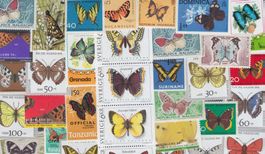 50 verschiedene Sondermarken Schmetterling Motiv Briefmarken