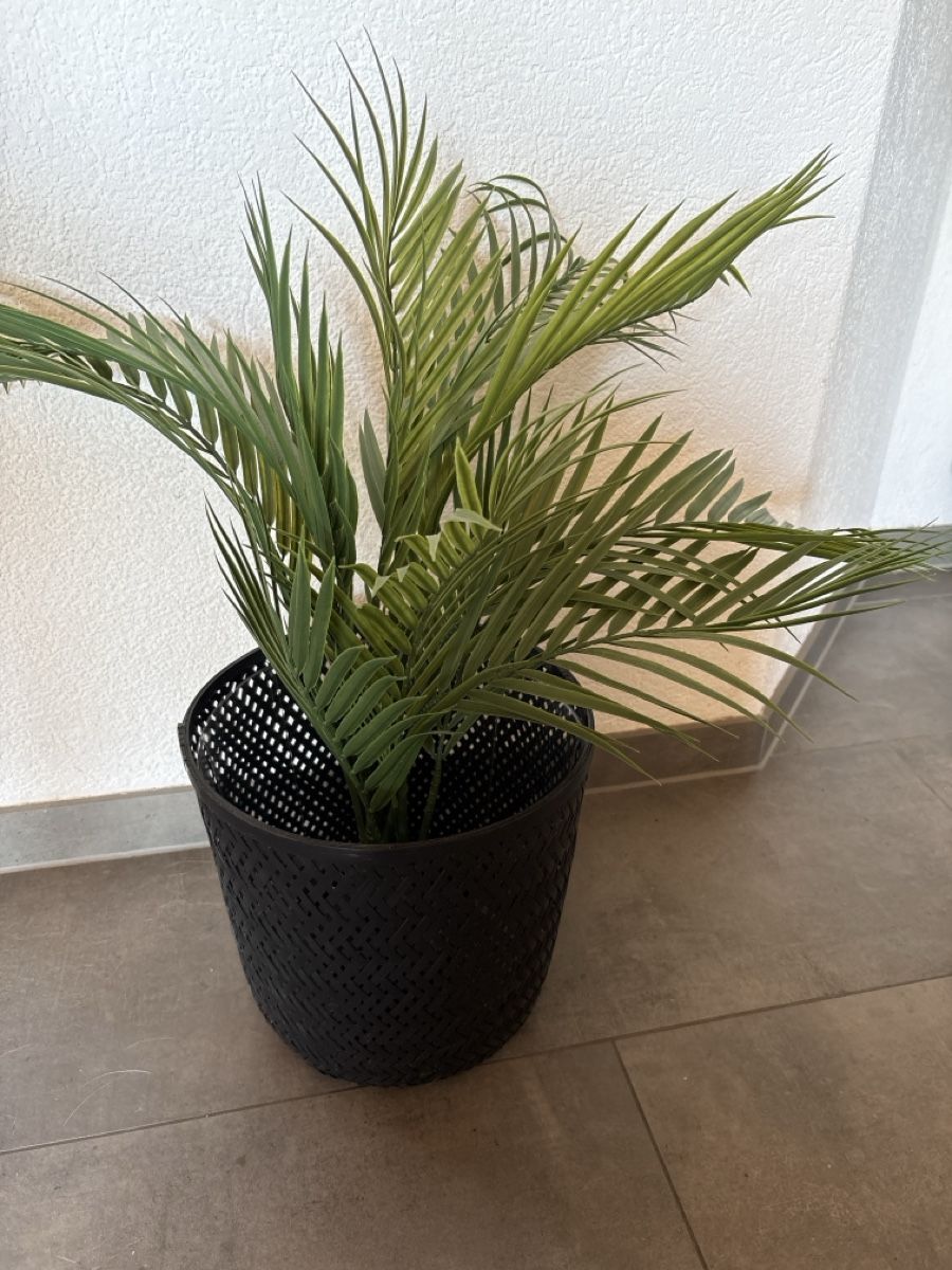 Vasi per fiori: Blumentopf ca 20cm – Nuovo (secondo la descrizione) da Birr venduto da sch_5qbf