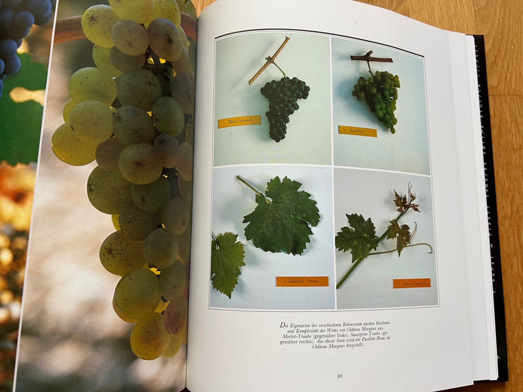 Libri: Bordeaux Wein - Buch - Château Margaux – Usato da Greifensee venduto da 315WDO 6