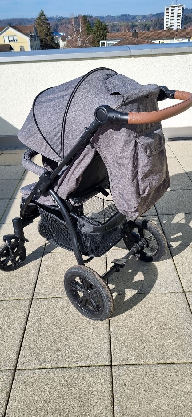 Lionelo Carrozzine: Kinderwagen (lionelo) – Usato da Niederuzwil venduto da FJR