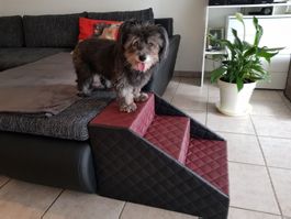 Hundetreppe für alle Hunde 40 cm hoch