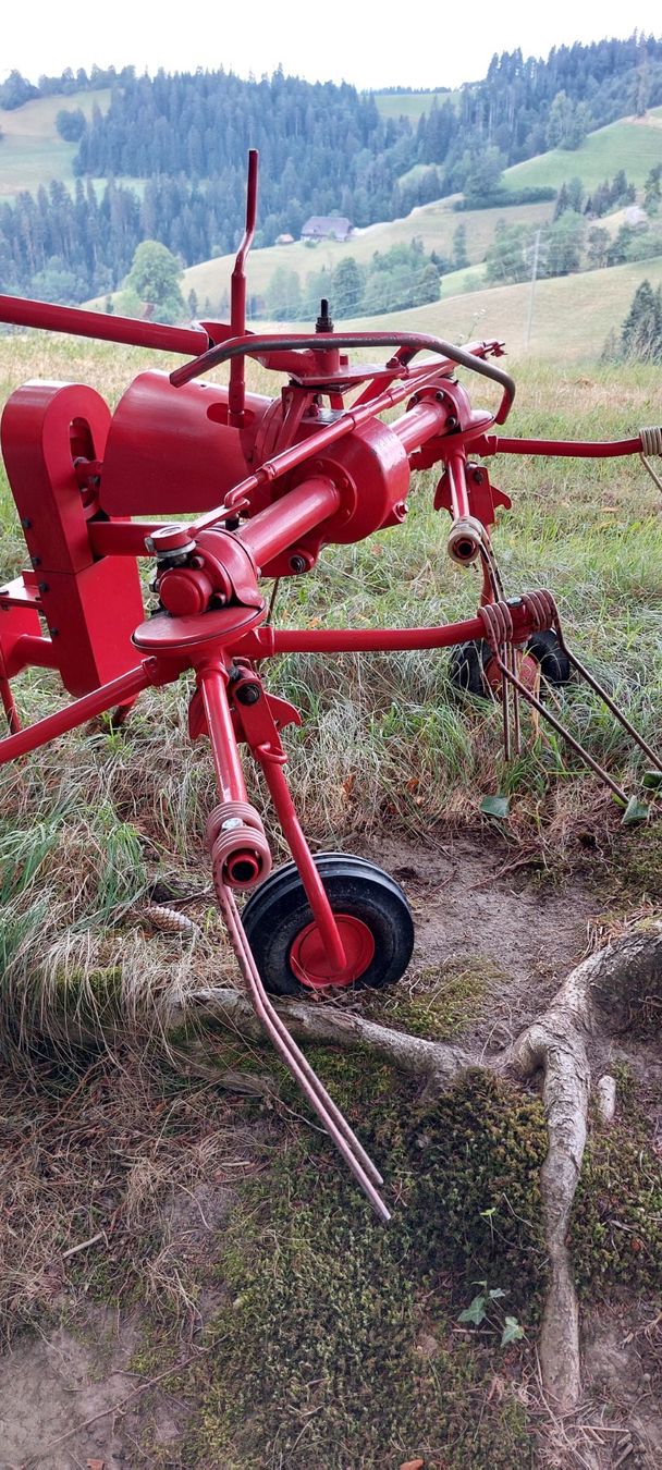 Rapid Tutte le macchine: Rapid Motormäher Euro 4 inkl. Kreiselheuer Fahr + Hill Rake – Usato da Grünen venduto da Doedel22 8
