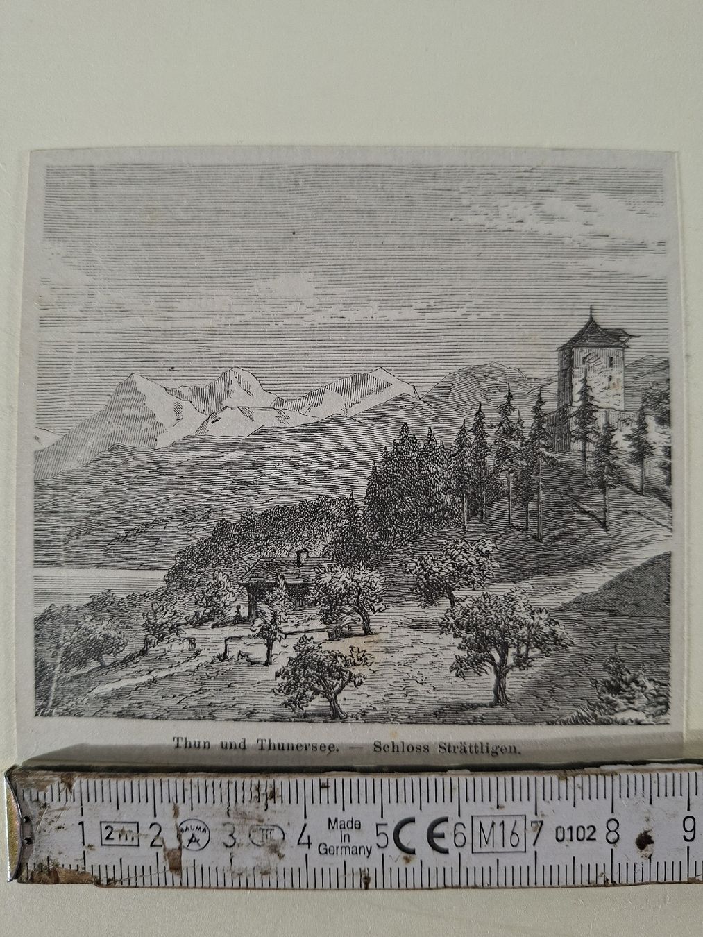 Incisioni: Lot  71 , 10 Stiche  – Usato da Grindelwald venduto da carro5 3