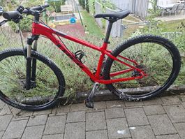 Trek, XCaliber 7, 17,5