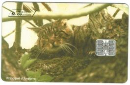 Telefonkarte Andorra AND-051 Wildkatze