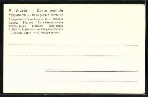 Cartoline postali: Speicher, Totalansicht koloriert um 1900 – Usato da Frauenfeld venduto da POML 1