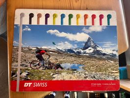 DT Swiss Speichenmusster Box Caran dÀche