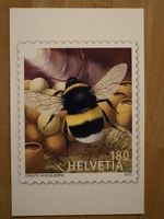 AK mit Tier Briefmarken Motiv von Oreste Vinciguerra