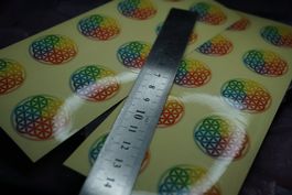 Blume Des Lebens Sticker  Farbig Grob  16 Stück   30mm