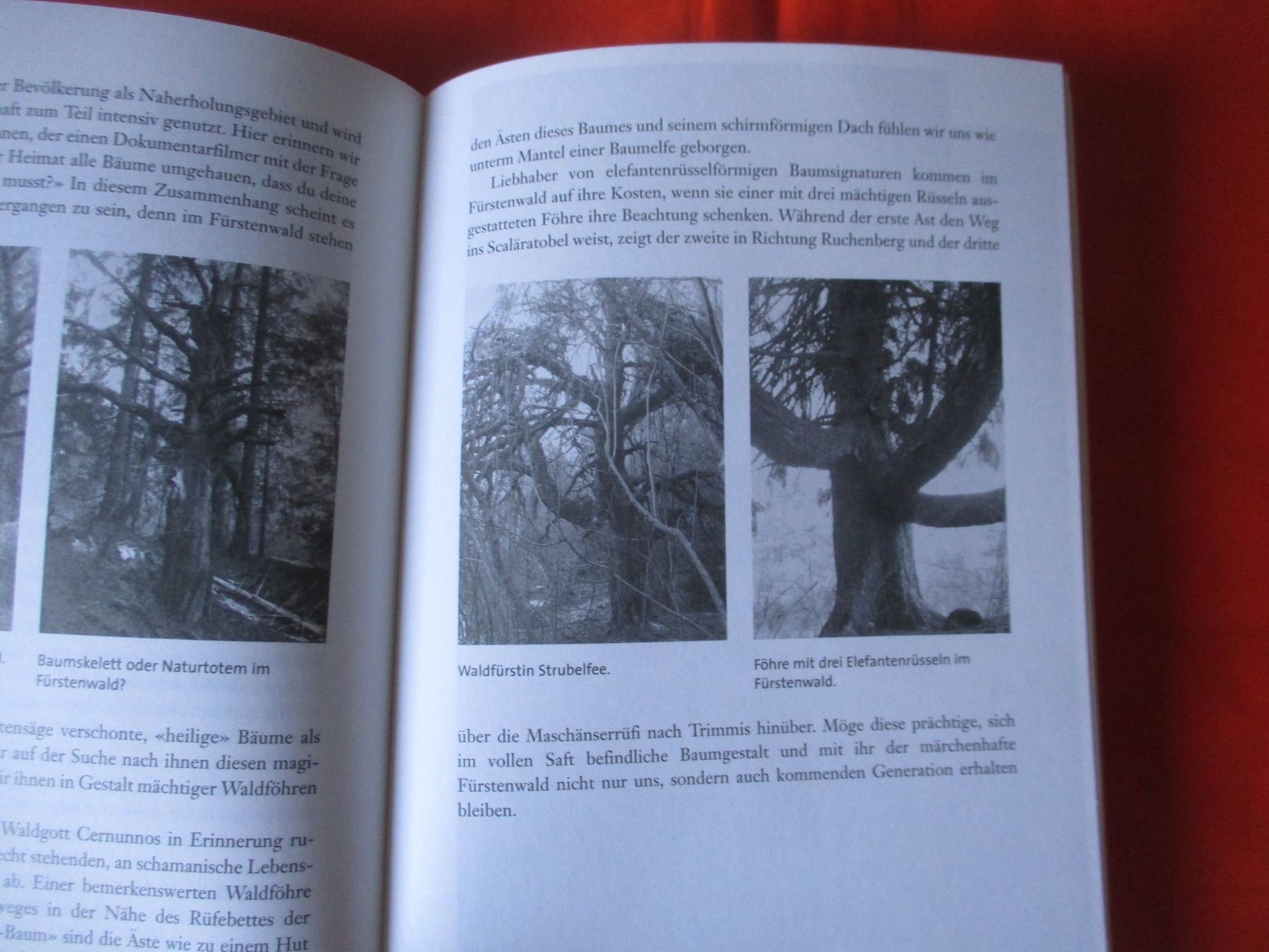 Livres: Buch Magisches Graubünden – D'occasion à Birsfelden par alles-muss-raus 1
