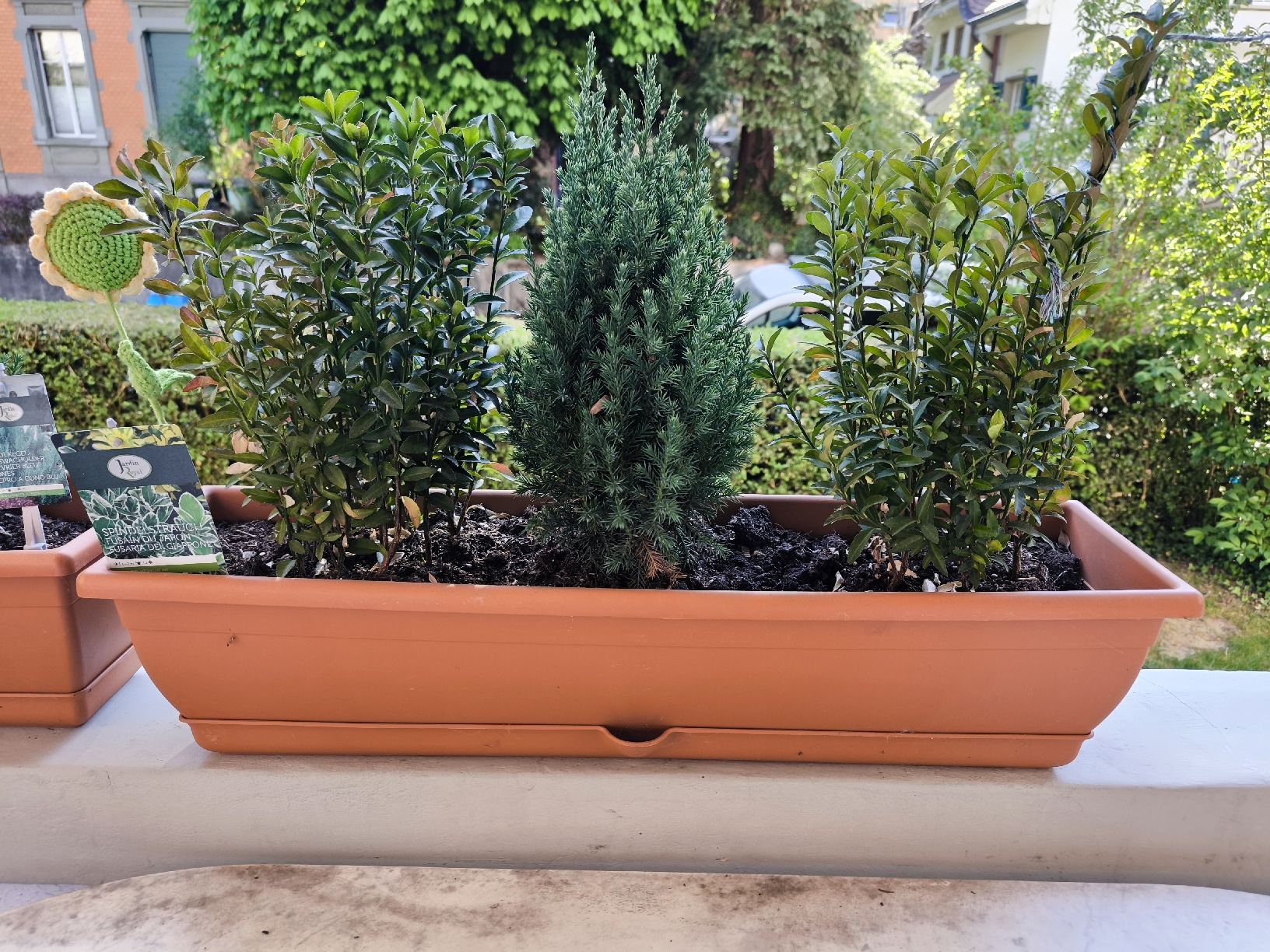 ofenhandschuhe dm Ofenhandschuh, Bio-Baumwolle, dunkelgrün meliert Farbe:Schwarz Orange