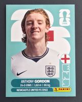 Anthony Gordon, Panini FIFA WC 2026 Int. Edition, ENG 15